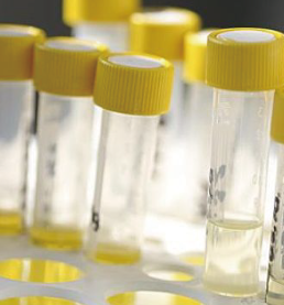 1624000690428757VBGv.png image.png